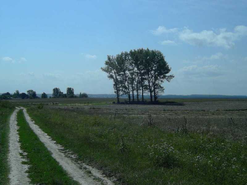 Komarow battlefield area